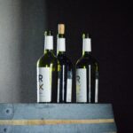 Las variedades de vinos tintos más populares: una guía completa